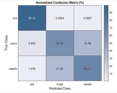 Deep Convolutional Neural Networks for Weeds and Crops Discrimination From UAS Imagery